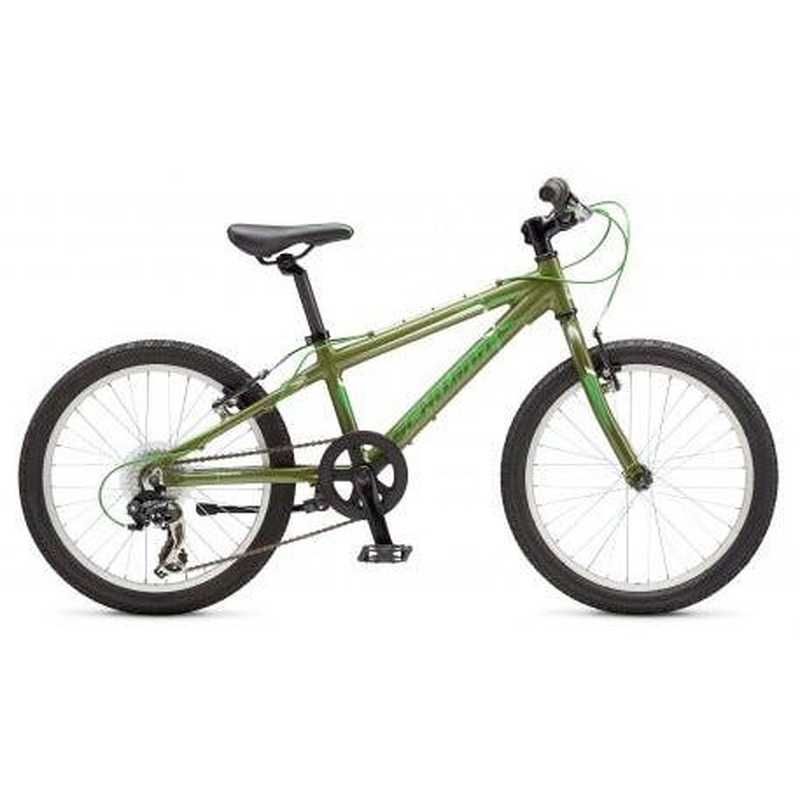 Schwinn Mesa 20in [Green] (2017)