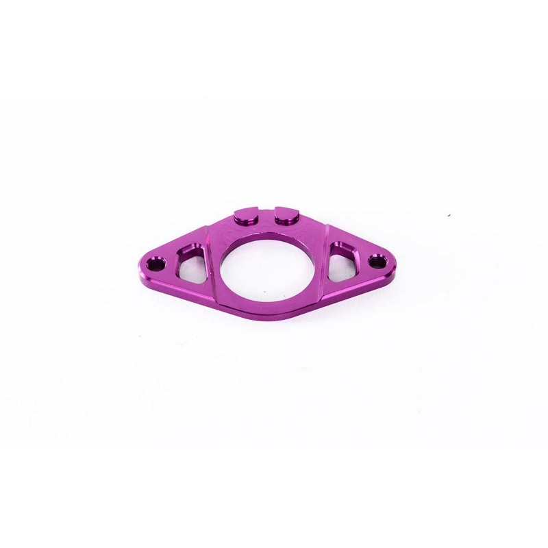 Colony Gyro Plate Purple