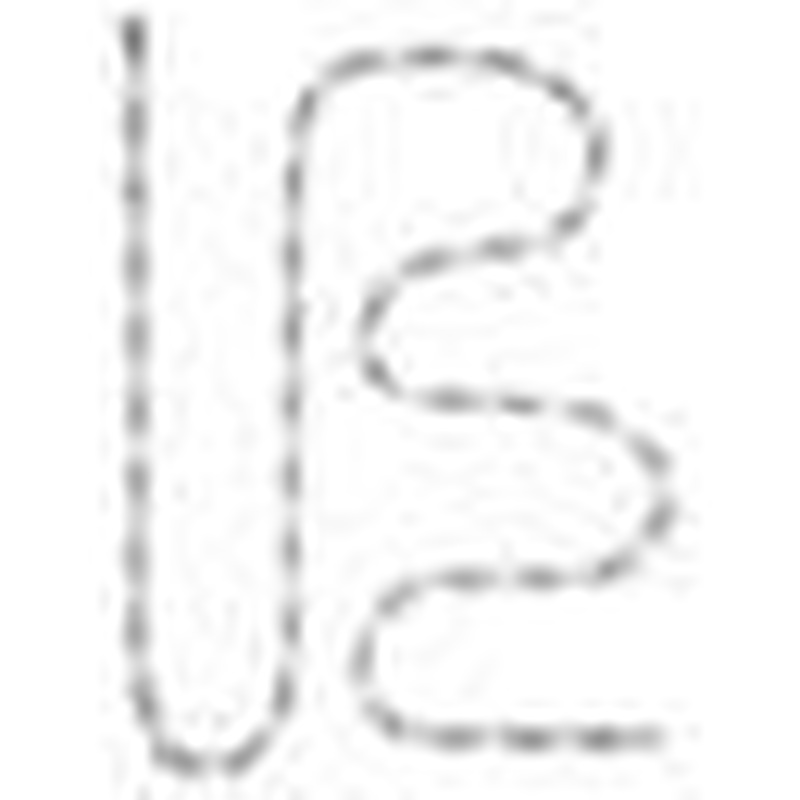 Campagnolo Record 11 Speed Chain