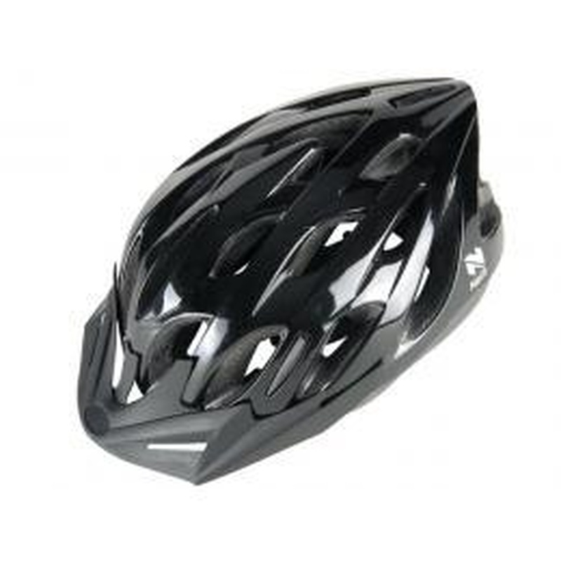 Netti Fuse Helmet (Black)