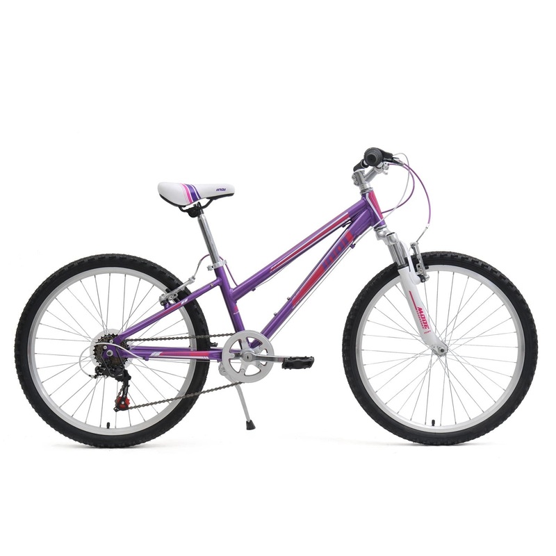 Indi 24in Purple (2017)