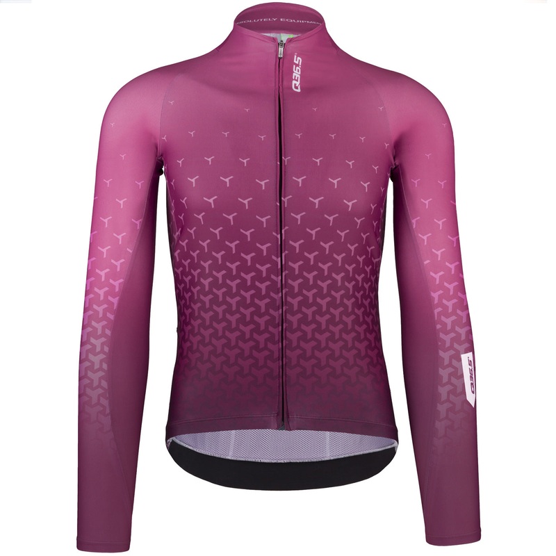 Q36.5 R2 Y long sleeves jersey - Purple
