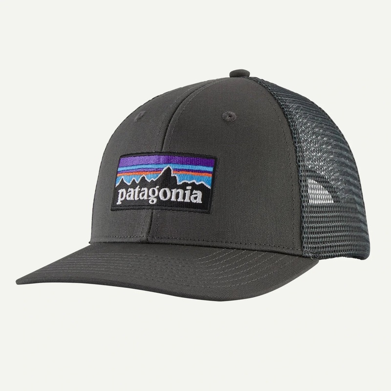 Patagonia P-6 Logo Trucker cap - Grey