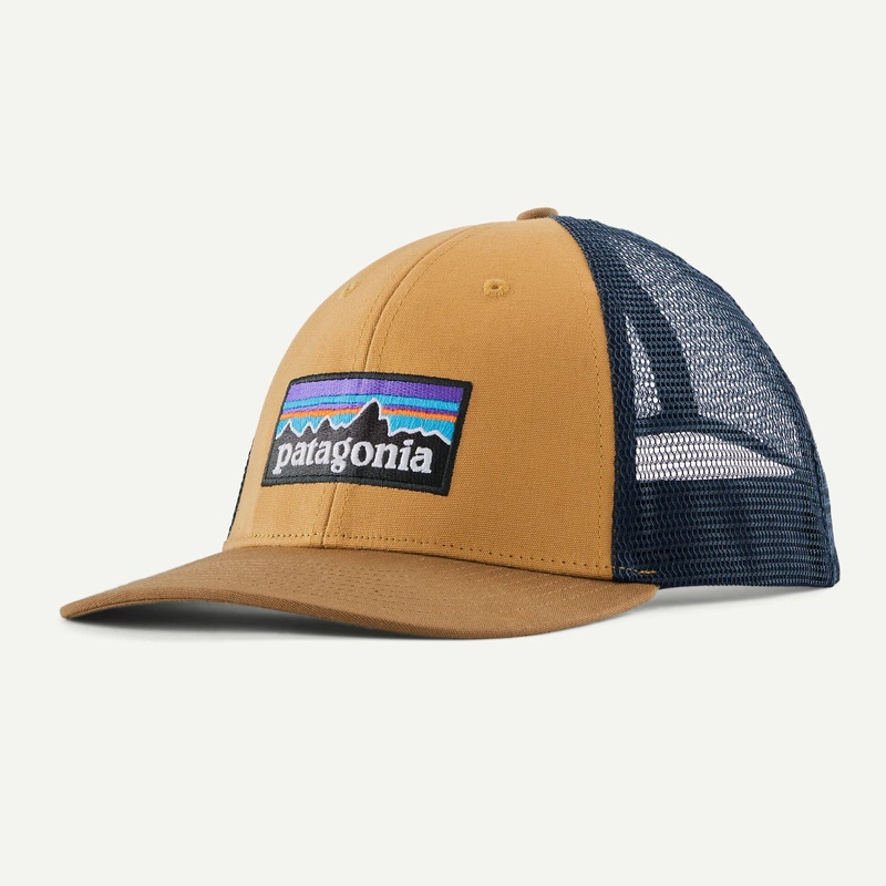 Patagonia P-6 Logo LoPro Trucker cap - Brown