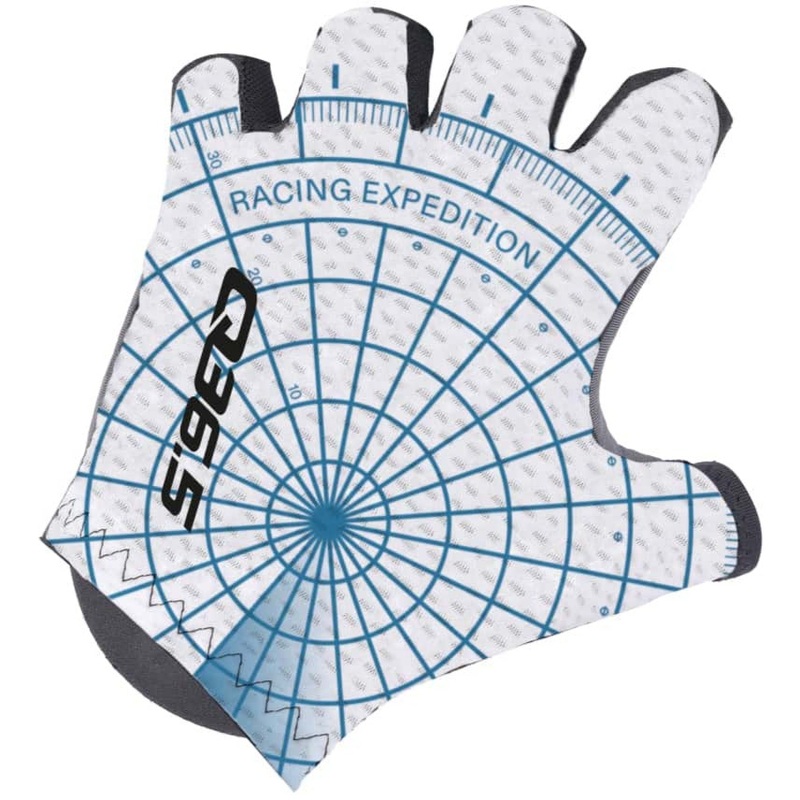 Q36.5 Pro Cycling Team 2025 gloves