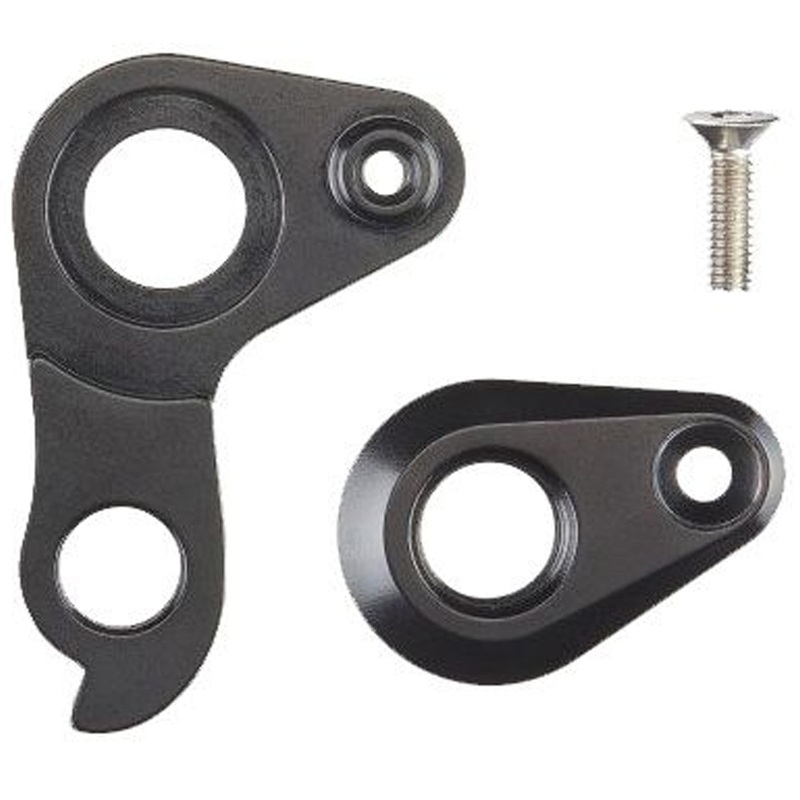 Pinarello through-bolt dropout